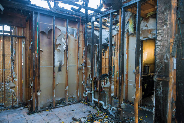 Professional Structural Rebuild technician working in Addison, TX